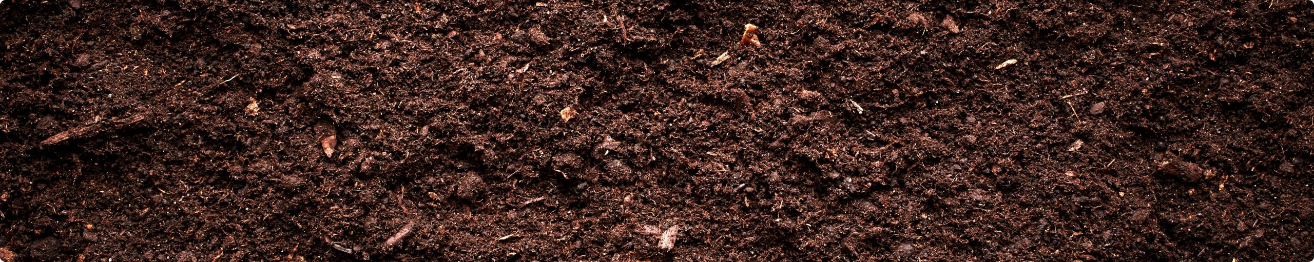 GrowBetter soil