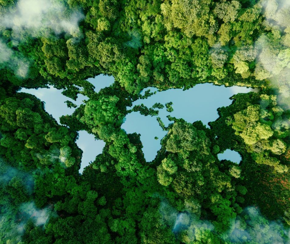 Water and trees making the outline of a world map