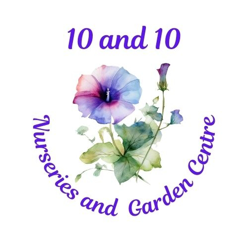 logo for 10 and 10 Nurseries and Garden Centre